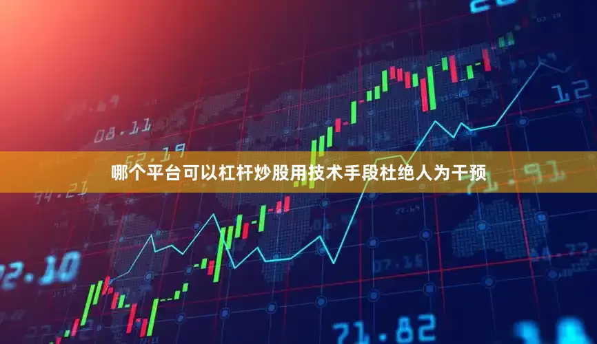 哪个平台可以杠杆炒股用技术手段杜绝人为干预