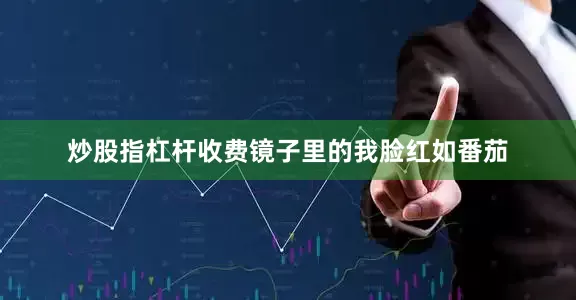 炒股指杠杆收费镜子里的我脸红如番茄