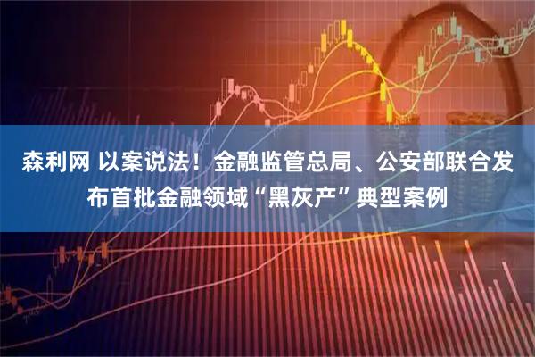 森利网 以案说法！金融监管总局、公安部联合发布首批金融领域“黑灰产”典型案例
