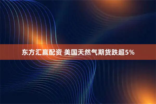 东方汇赢配资 美国天然气期货跌超5%