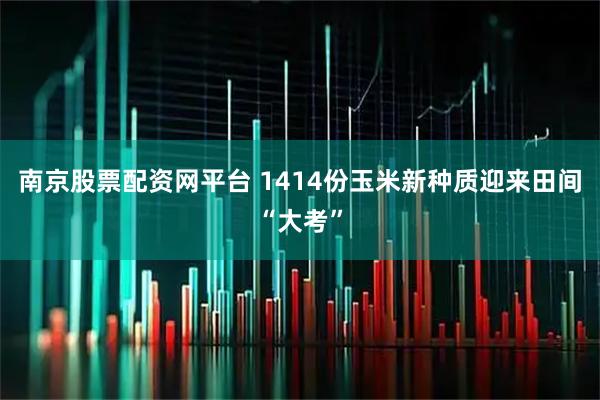 南京股票配资网平台 1414份玉米新种质迎来田间“大考”