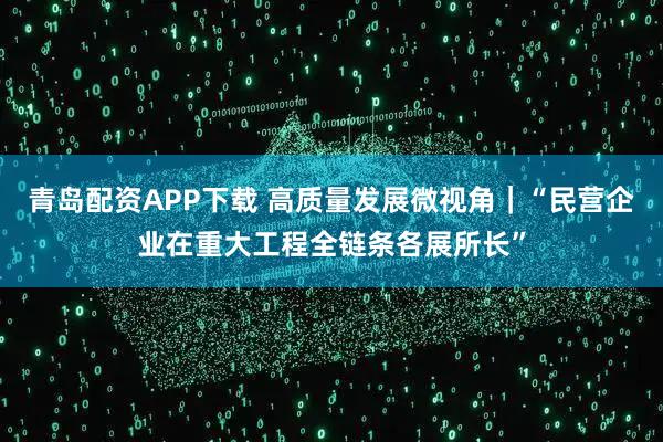 青岛配资APP下载 高质量发展微视角｜“民营企业在重大工程全链条各展所长”